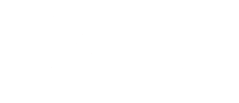 The Sun